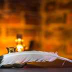 The Men Behind the Man: 5 Personalities Who Inspired Shakespeare