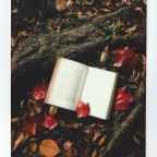 Go Green: Fiction Books Inspired by Sustainability Principles