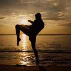 Haiyaa!: Top Martial Artists of All Time