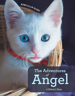 The Adventures of Angel