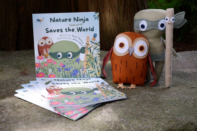 Nature Ninja Book and Characters