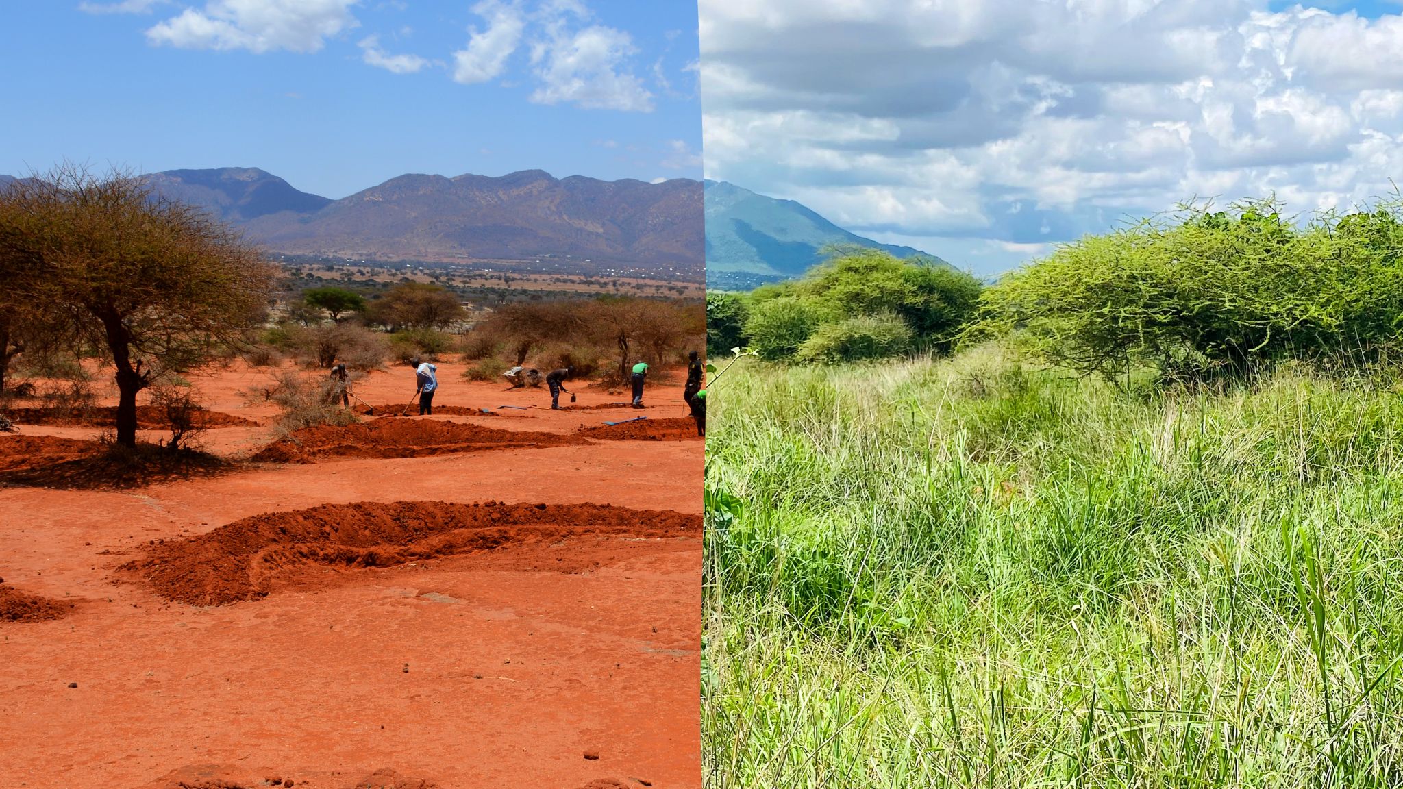 1725537882919 - Monique Noel Brown (1)