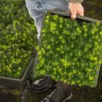 The World’s Best of 2025 in Sustainable Food Production