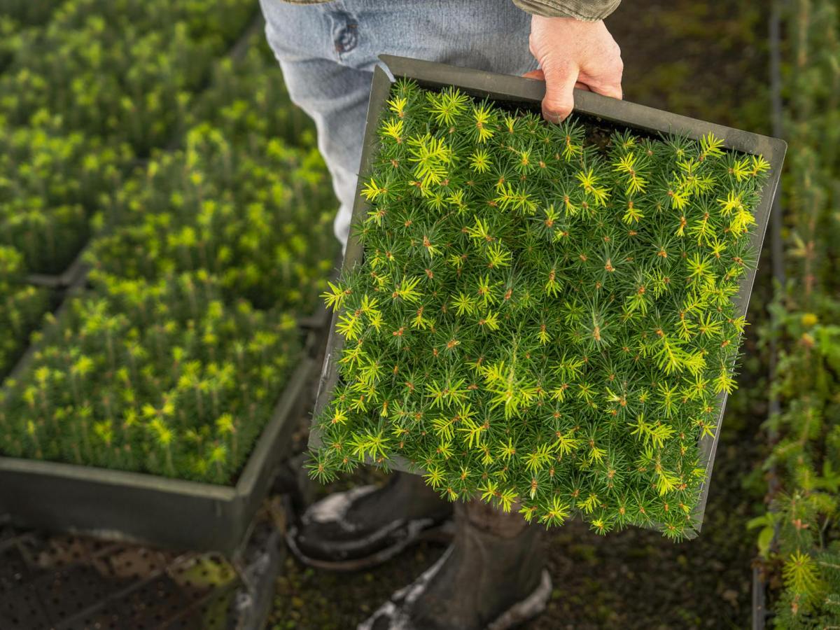 The World’s Best of 2025 in Sustainable Food Production