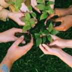 The World’s Most Remarkable Earth Day Initiatives