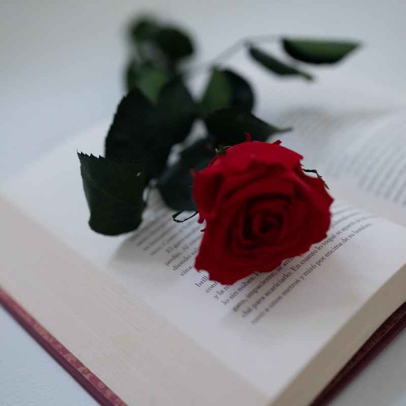 The World’s  Most Impactful Poetry Books