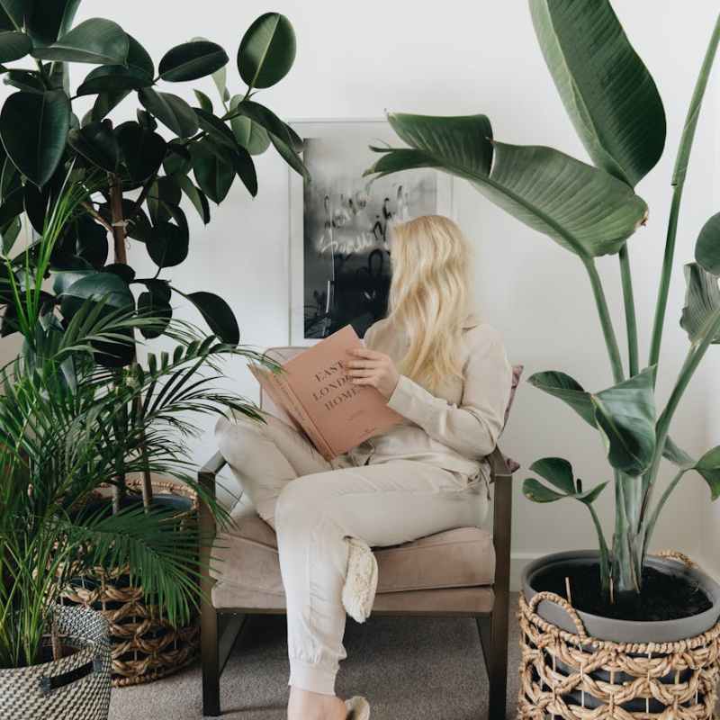 The World’s Best Books for Young Adults