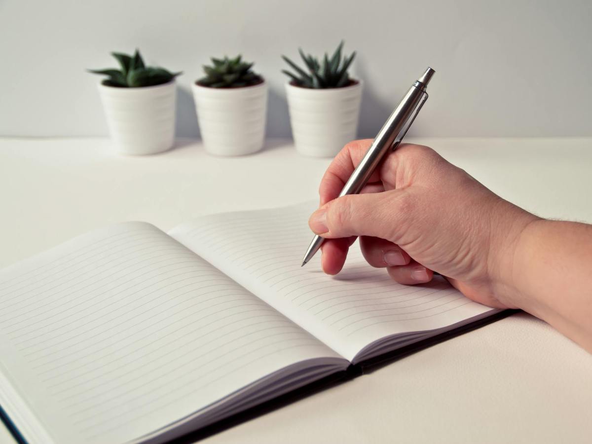 Disciplined Effort vs. Inspiration: Which Contributes More to Literary Skill Development?