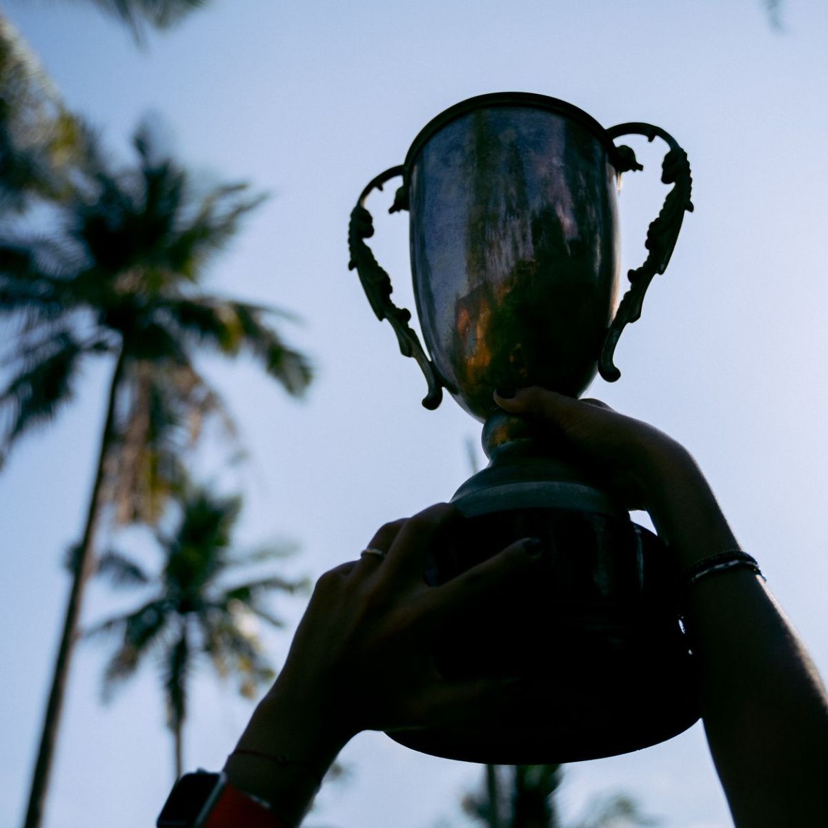 Timeless Principles and Habits for Sustained Excellence in Any Endeavour